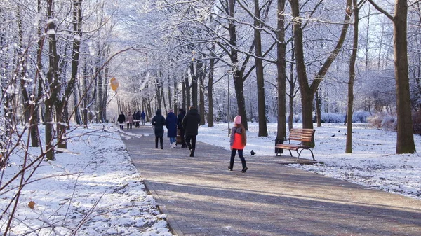 Zimowe Miasto Jasny Zimowy Dzień Zimowy Śnieżny Las Natura Zimie — Zdjęcie stockowe