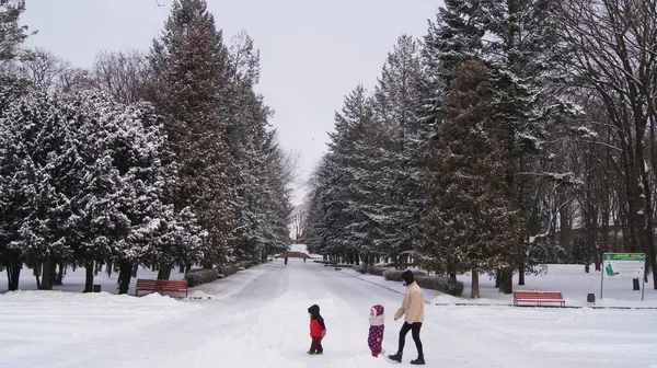Зимний Тернополь Снежный Город Заснеженные Парки Улицы — стоковое фото