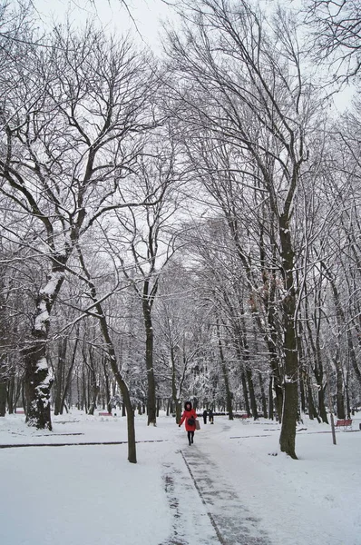 Winter Park Green Zone Ternopil Winter — стоковое фото