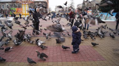 Çocuklar tiyatro meydanında güvercinleri besler. Ternopil Meydanı. Ternopil Peace. Ternopil güvercinleri. Ternopil 'in merkez meydanında güvercinler. Şehirdeki insanların ve vahşi yaşamın etkileşimi. Ternopil 'in merkezinde güvercinler.