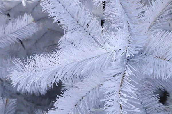 Bajo Cielo Azul Ucraniano Calles Parques Invierno Tternopil —  Fotos de Stock