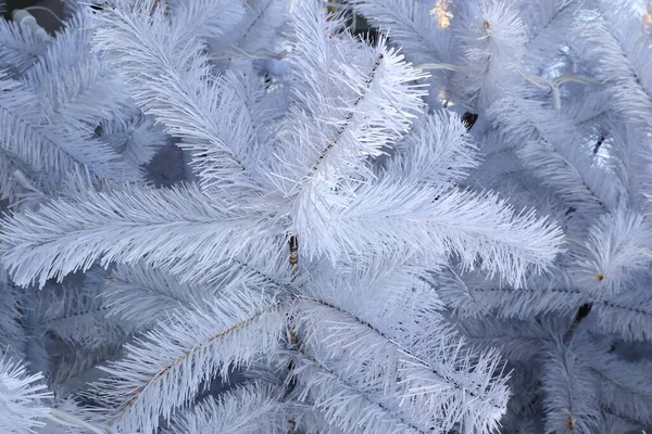 Sob Céu Azul Ucraniano Ruas Parques Inverno Tternopil — Fotografia de Stock