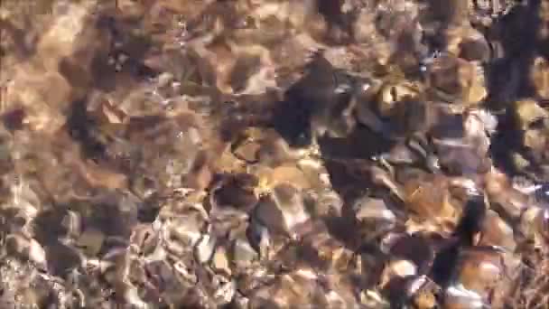 Wasserquellen Des Dorfes Verbiv Der Region Brzezany Frühling Mit Sauberem — Stockvideo