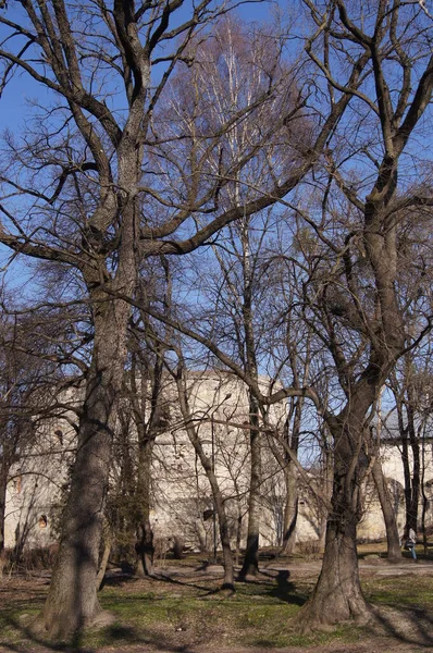 Twierdza Brzezany Ukrainie Ruiny Starego Fortreese — Zdjęcie stockowe