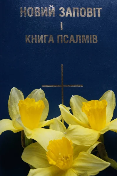 Ранняя Весна Цвета Украины Голубым Украинским Небом Украина 2022 Тернопольский — стоковое фото