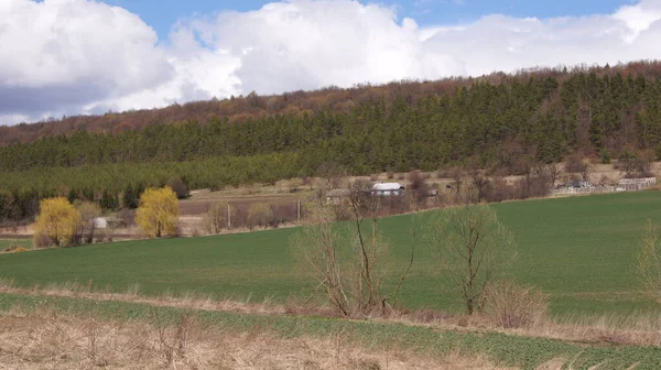 Natural Background Phones Tablets Nature Village Verbiv Brzezany Region Blue — ストック写真