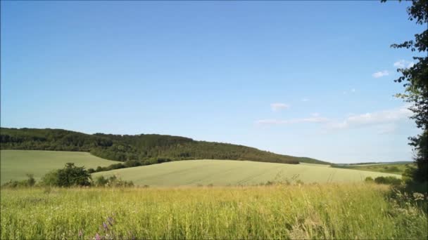 Agroprom Ucrânia Dia Verão Ucraniano Campos Perto Aldeia Verbiv Divisão — Vídeo de Stock