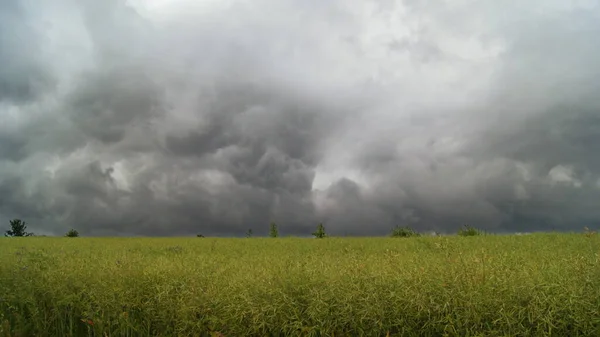 Над Українськими Полями Падають Дощові Хмари Природна Їжа Вербєвих Полів — стокове фото