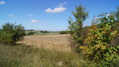 Field with harvested wheat. Ukrainian fields. A field near the village of Verbiv in the Berezhany district. 