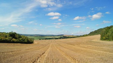 Field with harvested wheat. Ukrainian fields. A field near the village of Verbiv in the Berezhany district. 