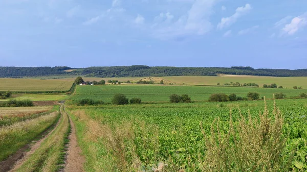 ヴェルビフの村の近く ウクライナの風景 — ストック写真