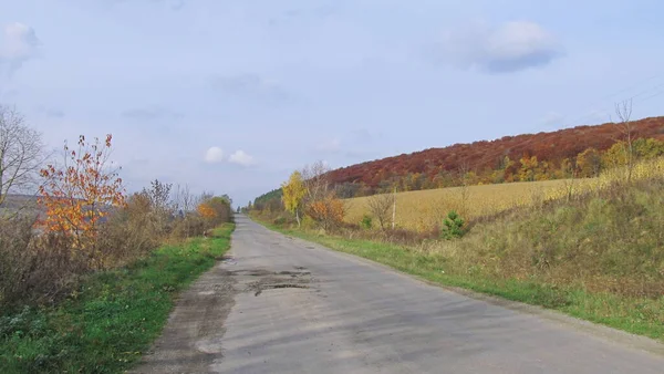 First Breath Autumn Road Middle Autumn Autumn Background Phones Tablets — Stock Photo, Image