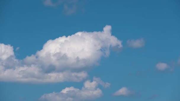 Images Temporelles Cumulus Blancs Gonflés Déplaçant Rapidement Sur Ciel Bleu — Video