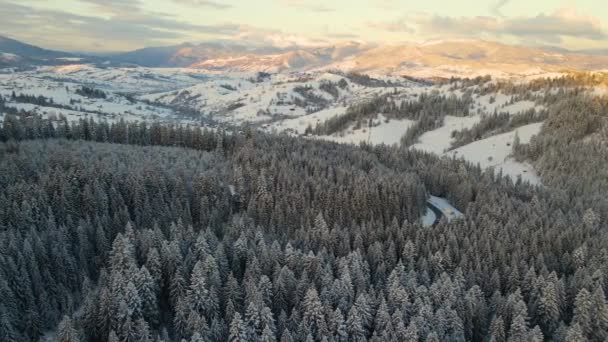 Vista Aérea Del Paisaje Invernal Con Colinas Montaña Cubiertas Nieve — Vídeo de stock