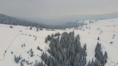 Soğuk dağlarda karla kaplı ormanlar arasında küçük kır evleri olan hava manzarası.