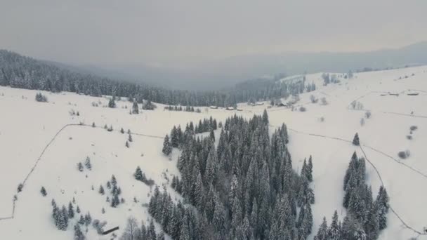 Paisagem Aérea Inverno Com Pequenas Casas Rurais Entre Floresta Coberta — Vídeo de Stock