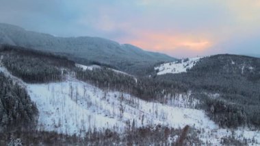 Güneşin doğuşuyla birlikte soğuk sisli dağlarda, karlı ormanlardan oluşan çam ağaçlarıyla muhteşem kış manzarası..