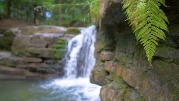 Waterval Berg Rivier Met Wit Schuimwater Vallen Van Rotsachtige Vorming — Stockvideo