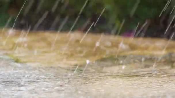 Großaufnahme Von Regentropfen Die Auf Den Straßenbelag Fallen — Stockvideo