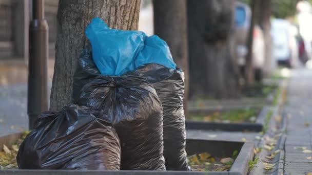 Sokaktan Alınmaya Bırakılmış Çöp Torbaları Dolusu Siyah Çöp Yığını Çöp — Stok video