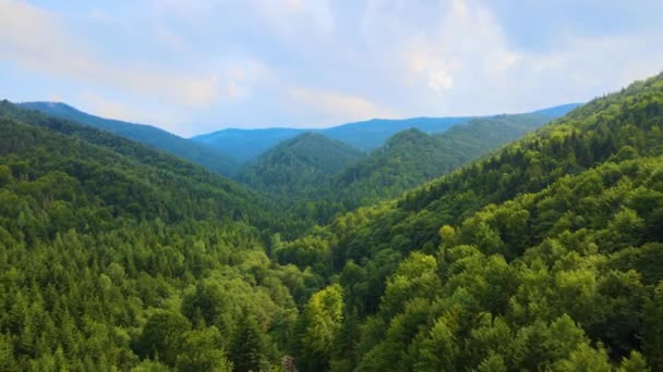 Luftfoto Bjergbakker Dækket Med Tætte Grønne Frodige Skove Overskyet Aften – Stock-video