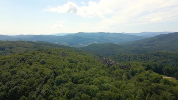 Αεροφωτογραφία Του Πυκνού Πράσινου Δάσους Στους Λόφους Του Βουνού Όμορφο — Αρχείο Βίντεο