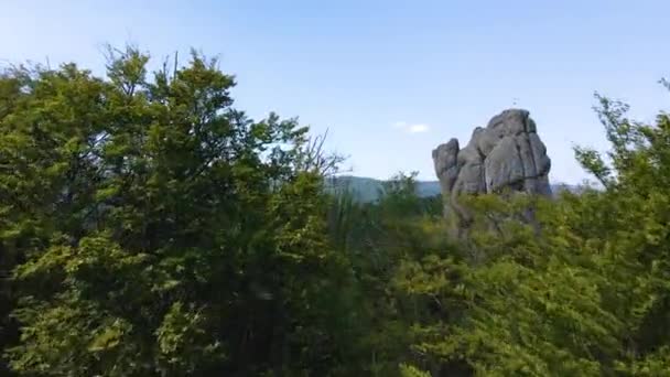 Aerial View Bright Landscape Green Forest Trees Big Rocky Boulders — Stock Video