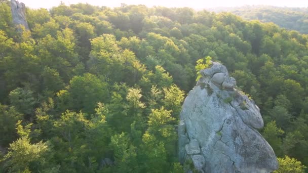 Αεροφωτογραφία Του Λαμπρού Τοπίου Καταπράσινα Δάση Και Μεγάλους Βραχώδεις Βράχους — Αρχείο Βίντεο