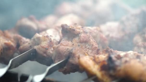 Shashlik Shish Kebab Preparando Churrasqueira Sobre Carvão Quente Pedaços Grelhados — Vídeo de Stock