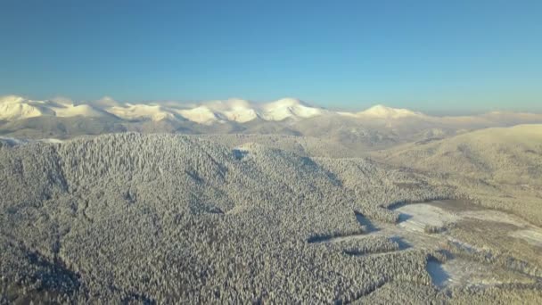 Vista aérea del paisaje de invierno con colinas de montaña cubiertas de bosque de pinos siempreverdes después de fuertes nevadas en el frío día brillante. — Vídeo de stock