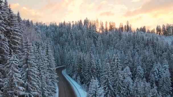 雪に覆われた山の丘や朝の曲がりくねった森の道と冬の風景の空中ビュー. — ストック動画