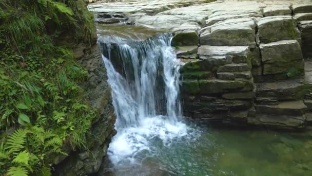 Waterval op de berg rivier met wit schuimwater vallen van rotsachtige vorming in de zomer bos. — Stockvideo