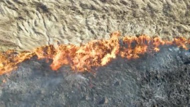 Kurak mevsimde çayırların kırmızı ateşle yandığını gösteren hava manzarası. Doğal afet ve iklim değişikliği kavramı.