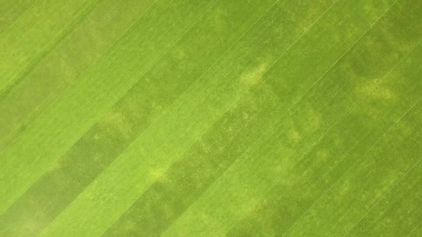 Vista aérea de cerca de la superficie de hierba verde recién cortada en el estadio de fútbol en verano. — Vídeo de stock