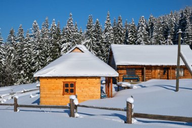 Kış dağlarında yüksek çam ağaçları ile çevrili taze karla kaplı küçük ahşap bir ev..