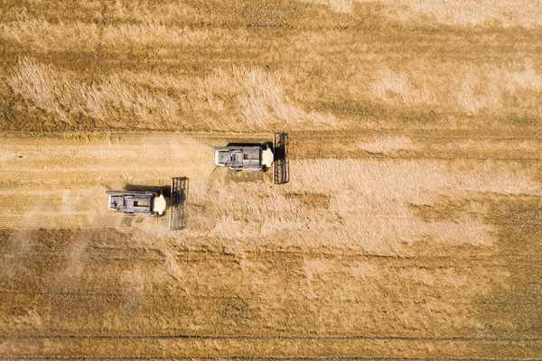 Aerial View Combine Harvesters Harvesting Large Yellow Ripe Wheat Field — Stock Photo, Image