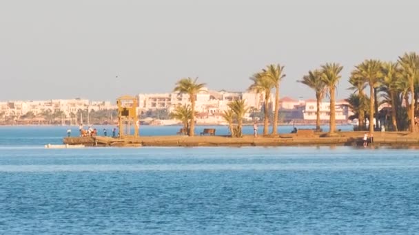 Widok na wybrzeże w tropikalnym kurorcie z palmami, budynkami hotelowymi i błękitną wodą morską przed — Wideo stockowe