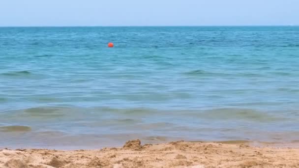 Θαλάσσιο τοπίο με επιφάνεια γαλάζιου θαλασσινού νερού με μικρά κυματιστά κύματα να συντρίβονται σε κίτρινη αμμώδη παραλία. Έννοια ταξιδιού και διακοπών — Αρχείο Βίντεο