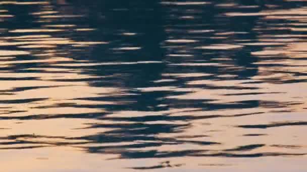 Surface étroite de l'eau avec de petites vagues d'ondulation dans le lac — Video