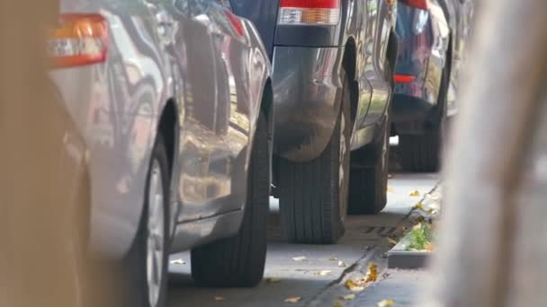Stadsverkeer met auto 's geparkeerd in de rij aan de straatkant — Stockvideo