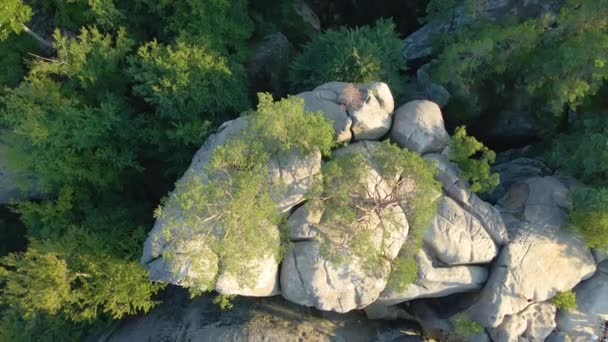 Aerial view of bright landscape with green forest trees and big rocky boulders between dense woods in summer. Beautiful scenery of wild woodland — Stock Video