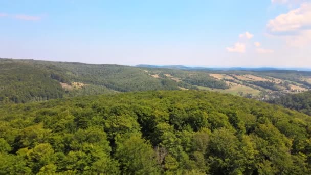 Widok z lotu ptaka wzgórza pokryte gęstym zielonym lasem bujnym na jasny letni dzień — Wideo stockowe