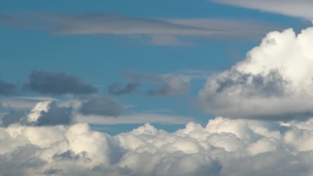 Запись быстрого движения белых пухлых кучевых облаков на голубом ясном небе — стоковое видео