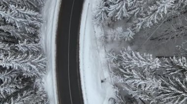 Kış manzaralı, karla kaplı dağ ormanları ve kaygan ormanlar..