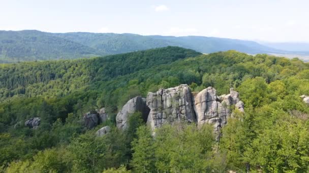 Luftaufnahme einer hellen Landschaft mit grünen Waldbäumen und großen Felsbrocken zwischen dichten Wäldern im Sommer. Schöne Landschaft mit wilden Wäldern. — Stockvideo