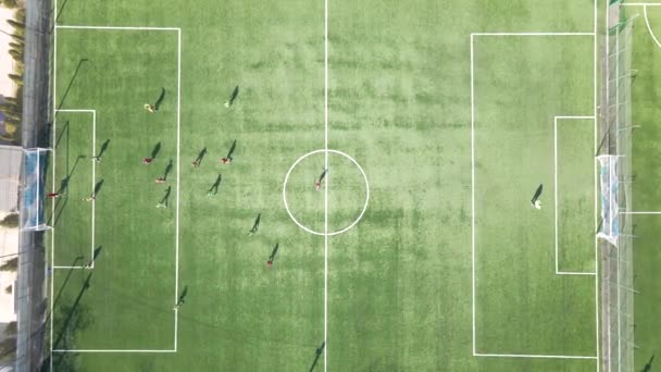 Vista aérea de jugadores de fútbol jugando al fútbol en el estadio de deportes verdes — Vídeos de Stock