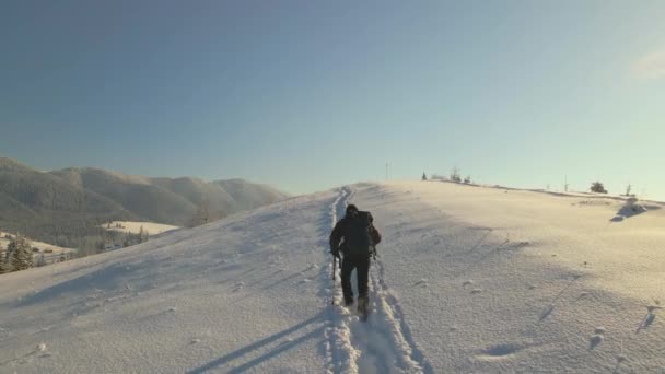 Пішохід з рюкзаком, що йде на засніжених гірських схилах гори в холодний зимовий день — стокове відео