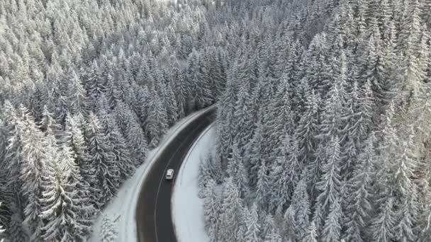 Widok z powietrza zimowy krajobraz z pokryte śniegiem lasy górskie i kręte lasy śliska droga — Wideo stockowe