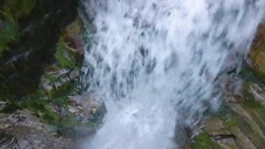 Yaz ormanlarında kayalık oluşumdan dökülen köpüklü suyla birlikte dağ nehrine dökülen şelale.