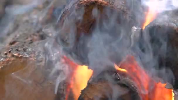 Крупный план из ярко горящих деревянных бревен с желтым горячим огнем — стоковое видео